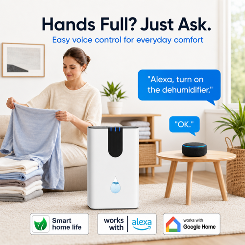 JOYSAILOR 95 OZ Dehumidifier, 850 sq.ft Small Dehumidifiers